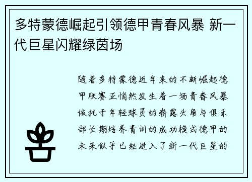 多特蒙德崛起引领德甲青春风暴 新一代巨星闪耀绿茵场
