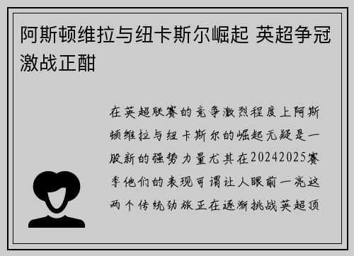 阿斯顿维拉与纽卡斯尔崛起 英超争冠激战正酣